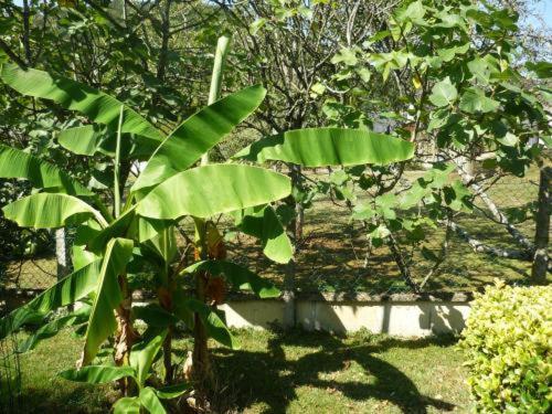 Le Miramont Acomodação com café da manhã Orincles Exterior foto